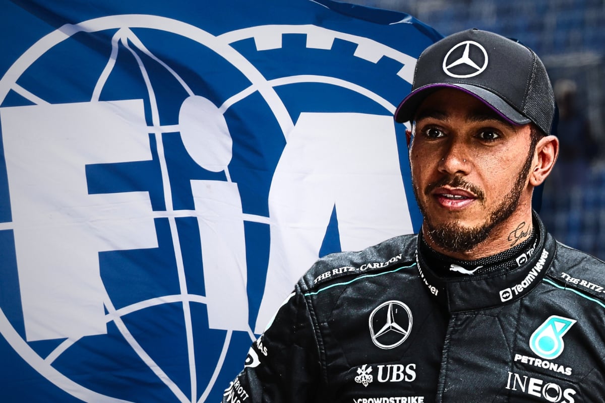 Lewis Hamilton, Mercedes, FIA, 2024, Social