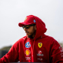 Lewis Hamilton's security forced into action after fan incident