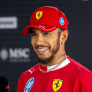 Lewis Hamilton is smiling again as F1 legend pictured with his celebrity crush